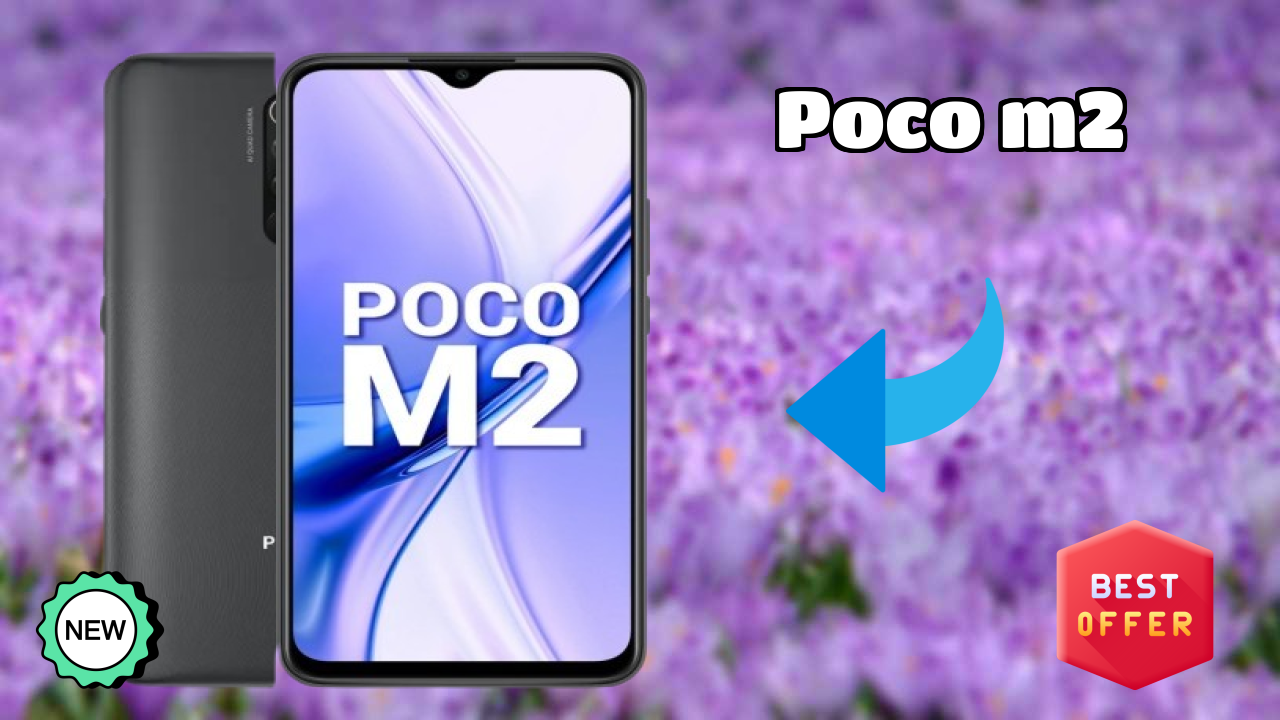 POCO M2 Camera Review: 13 MP + 8 MP + 5 MP + 2 MP Rear Camera Samples